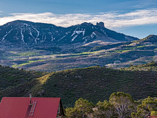 351 Slide Down Rd, Crawford, CO 81415 - mountain view