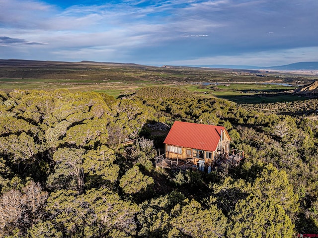 351 Slide Down Rd, Crawford, CO 81415 - aerial view of property's location