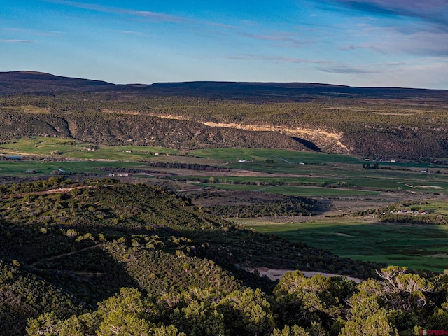 351 Slide Down Rd, Crawford, CO 81415 - view of property location with mountains