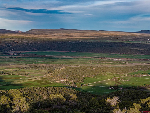 351 Slide Down Rd, Crawford, CO 81415 - mountain view