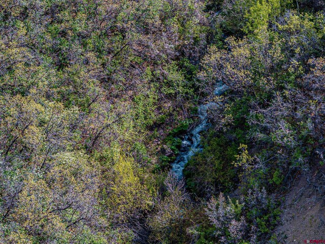 351 Slide Down Rd, Crawford, CO 81415 - drone / aerial view