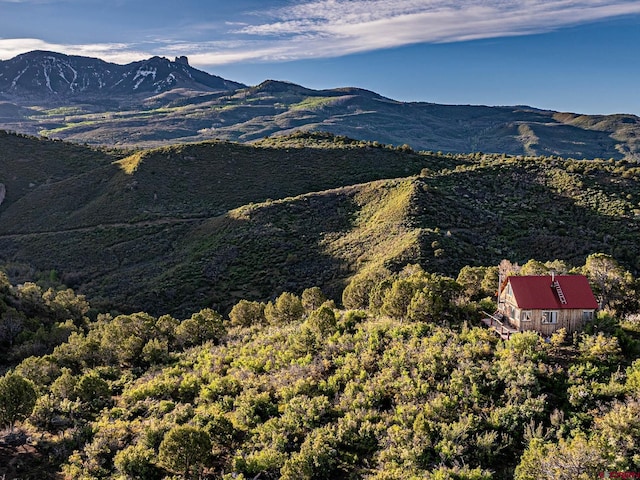 351 Slide Down Rd, Crawford, CO 81415 - view of mountain background