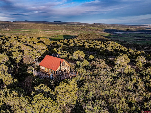 351 Slide Down Rd, Crawford, CO 81415 - view from above of property
