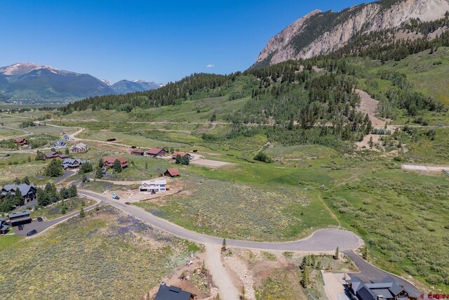 128 Buckhorn Way, Crested Butte, CO 81224