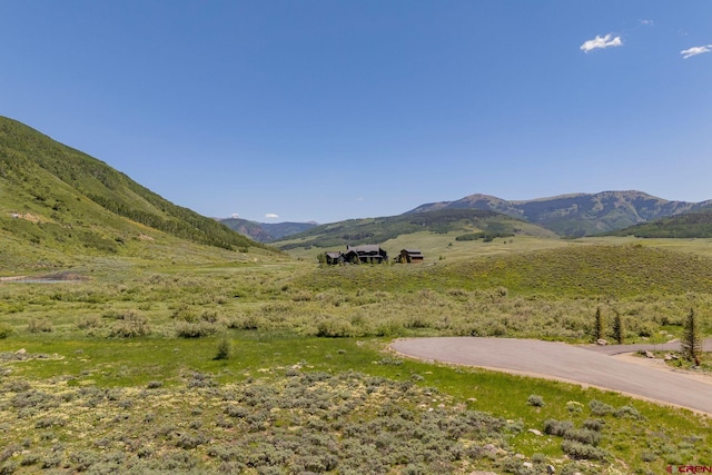 128 Buckhorn Way, Crested Butte, CO 81224