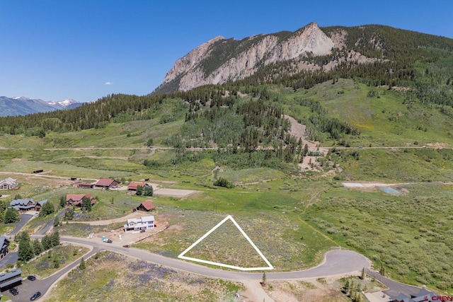 128 Buckhorn Way, Crested Butte, CO 81224