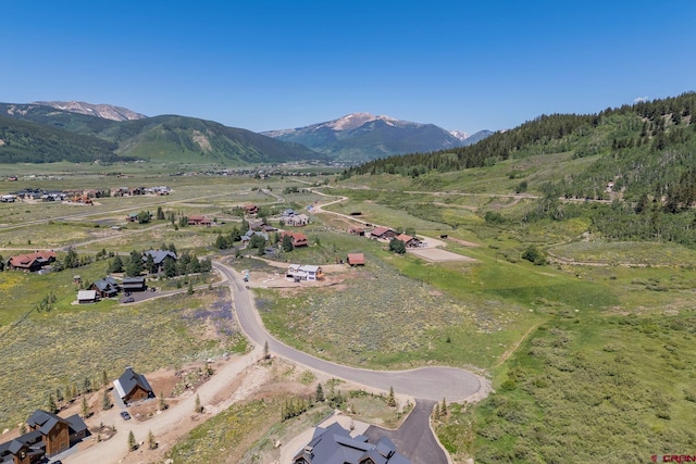 128 Buckhorn Way, Crested Butte, CO 81224