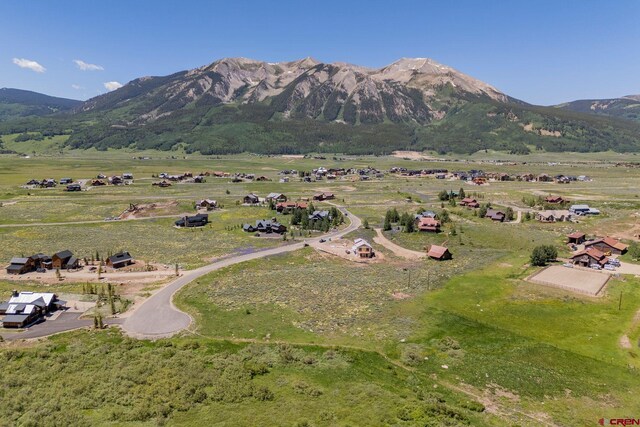 128 Buckhorn Way, Crested Butte, CO 81224