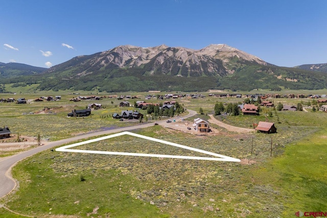 128 Buckhorn Way, Crested Butte, CO 81224