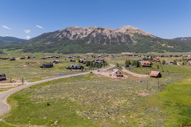 128 Buckhorn Way, Crested Butte, CO 81224