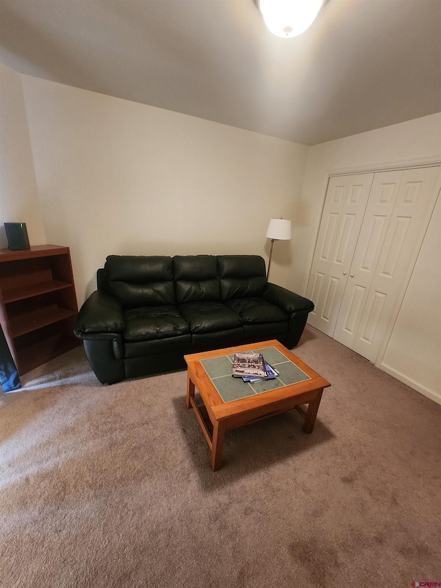 1286 Main St Unit 2, Ouray, CO 81432 - view of carpeted living room