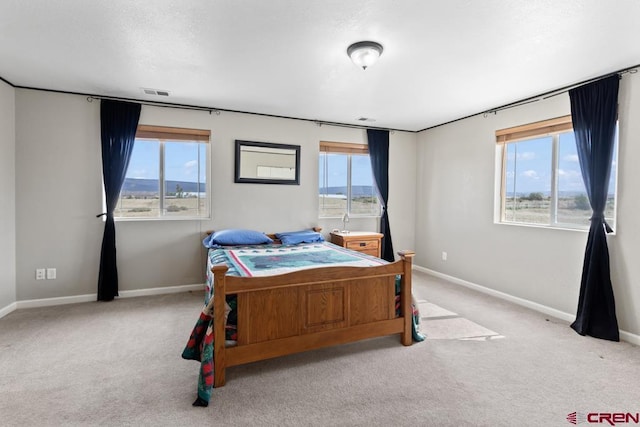 19496 E Rd, Delta, CO 81416 - bedroom with carpet flooring and baseboards