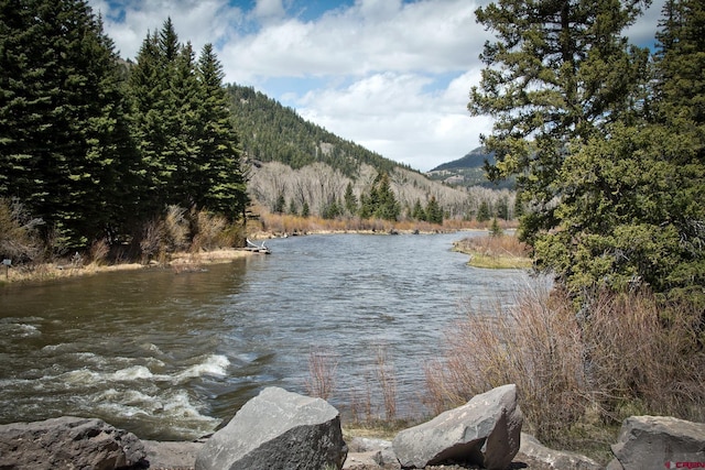 water view featuring a mountainous background and a forest