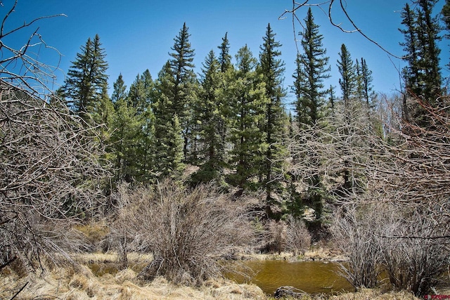 view of local wilderness