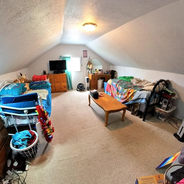 230 NW 5th St, Cedaredge, CO 81413 - bedroom featuring a textured ceiling, vaulted ceiling, and carpet