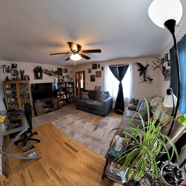 230 NW 5th St, Cedaredge, CO 81413 - living area with a textured ceiling, wood finished floors, and ceiling fan