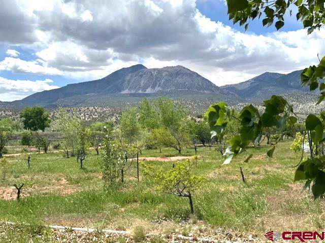 12427 Rd G, Cortez, CO 81321 - view of mountain background