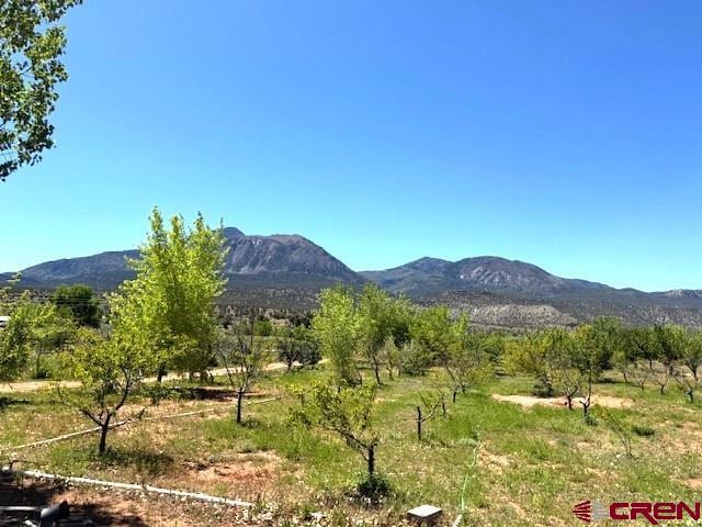 12427 Rd G, Cortez, CO 81321 - view of mountain backdrop