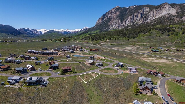 528 White Stallion Cir, Crested Butte, CO 81224