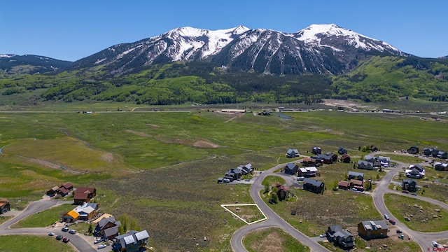 528 White Stallion Cir, Crested Butte, CO 81224