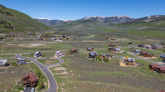 528 White Stallion Cir, Crested Butte, CO 81224