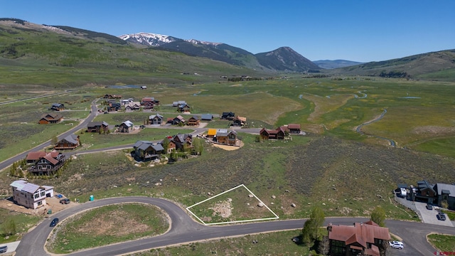 528 White Stallion Cir, Crested Butte, CO 81224