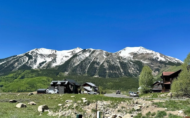 528 White Stallion Cir, Crested Butte, CO 81224