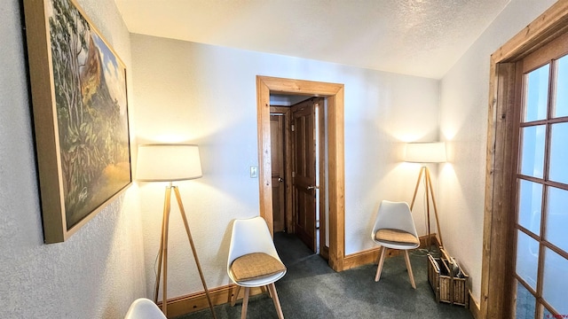 46 Camino Baca Grande, Crestone, CO 81131 - living area with carpet flooring and baseboards