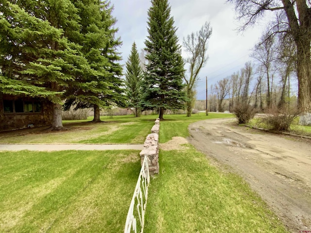 622 Rio Vista Rd, Gunnison, CO 81230 - view of street