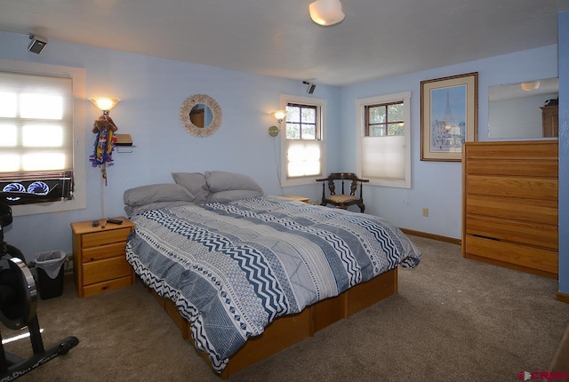 402 Sopris Ave, Crested Butte, CO 81224 - view of carpeted bedroom