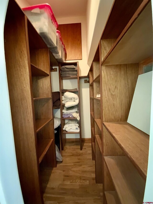 865 County Road 17, Gunnison, CO 81230 - walk in closet with light wood-type flooring
