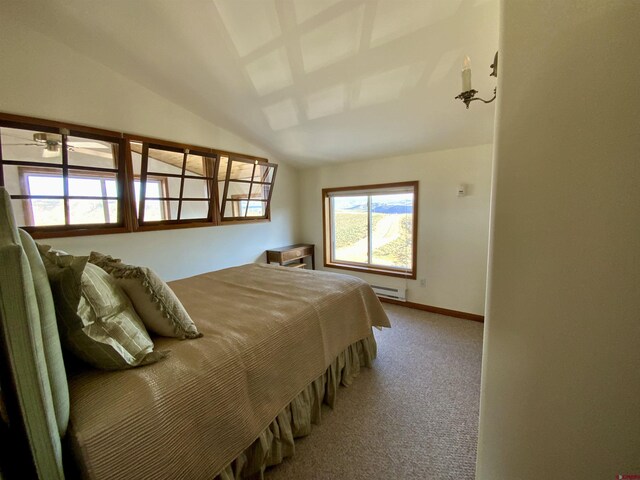 865 County Road 17, Gunnison, CO 81230 - carpeted bedroom featuring vaulted ceiling and baseboards