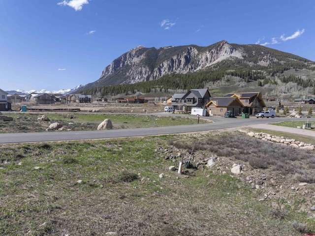83 White Stallion Cir, Crested Butte, CO 81224
