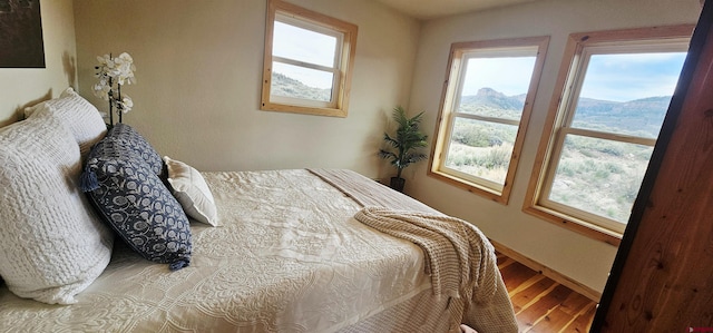11975 US Highway 50, Gunnison, CO 81230 - bedroom with wood finished floors, multiple windows, and baseboards