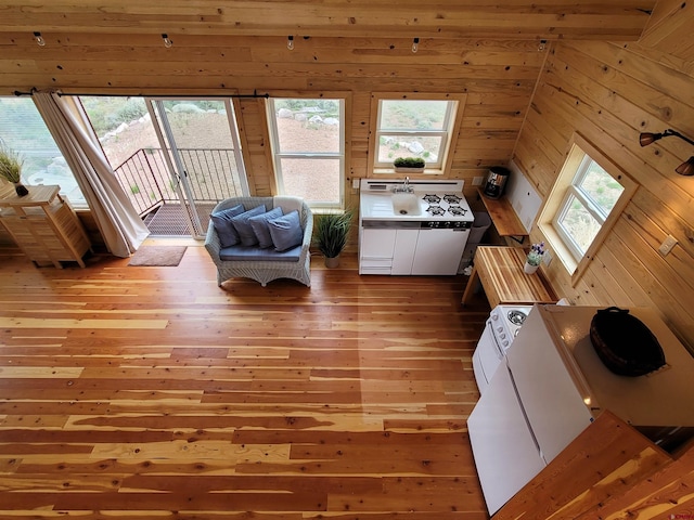 11975 US Highway 50, Gunnison, CO 81230 - living area featuring light wood-type flooring and wood walls