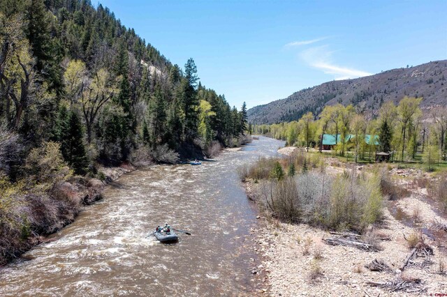 26217 Rd 38.5, Dolores, CO 81323 - view of mountain backdrop featuring a forest