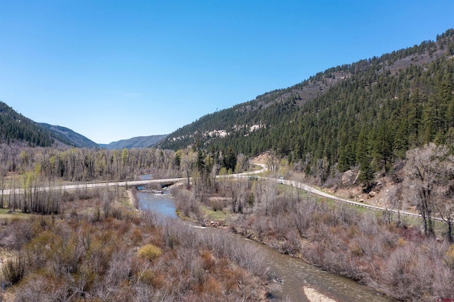 26217 Rd 38.5, Dolores, CO 81323 - view of mountain backdrop featuring a heavily wooded area
