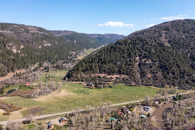 26217 Rd 38.5, Dolores, CO 81323 - mountain view featuring rural landscape and a forest