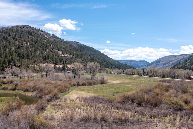 26217 Rd 38.5, Dolores, CO 81323 - view of mountain background featuring rural landscape