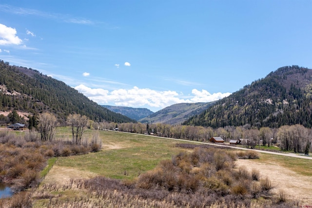 26217 Rd 38.5, Dolores, CO 81323 - view of mountain backdrop featuring rural landscape and a heavily wooded area
