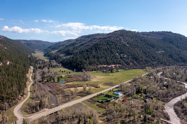 26217 Rd 38.5, Dolores, CO 81323 - mountain view with a heavily wooded area