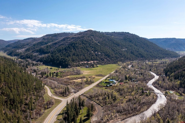 26217 Rd 38.5, Dolores, CO 81323 - view of mountain backdrop with a forest