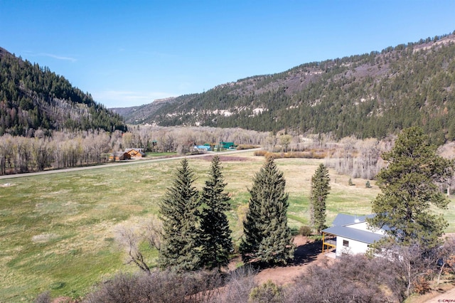 26217 Rd 38.5, Dolores, CO 81323 - mountain view with rural landscape and a forest