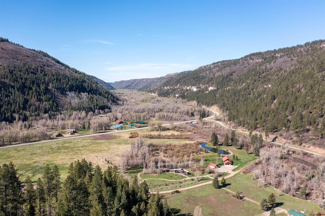26217 Rd 38.5, Dolores, CO 81323 - view of mountain backdrop with a forest