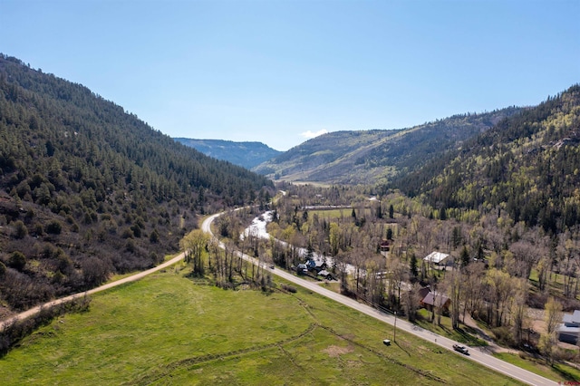 26217 Rd 38.5, Dolores, CO 81323 - view of mountain background with a heavily wooded area