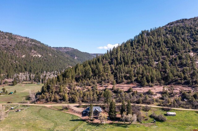 26217 Rd 38.5, Dolores, CO 81323 - view of mountain backdrop featuring a heavily wooded area
