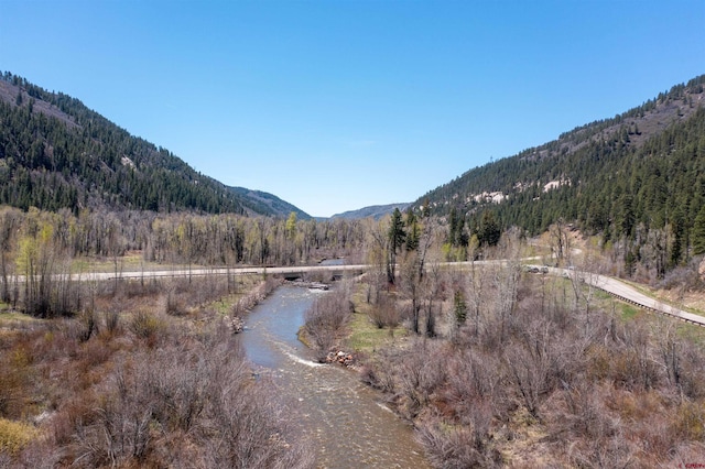 26217 Rd 38.5, Dolores, CO 81323 - view of mountain background featuring a forest