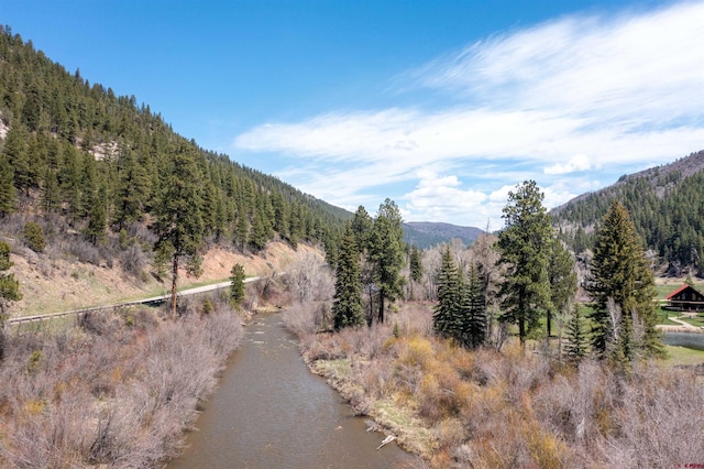 26217 Rd 38.5, Dolores, CO 81323 - view of mountain background with a heavily wooded area