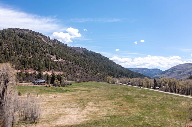 26217 Rd 38.5, Dolores, CO 81323 - view of mountain backdrop with a forest and rural landscape