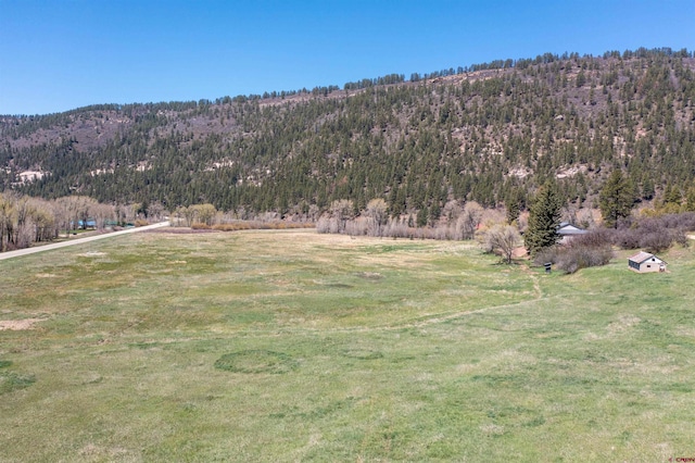 26217 Rd 38.5, Dolores, CO 81323 - mountain view with a forest and rural landscape